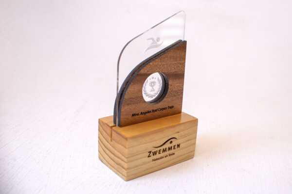 Trofeo Personalizado Graduación, Reconocimiento, Concurso, regalo
