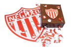 Rompecabezas irregular Necaxa