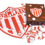 Rompecabezas irregular Necaxa