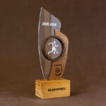Trofeo Personalizado Graduación, Reconocimiento, Concurso, regalo