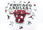 Rompecabezas Chicago Bulls NBA